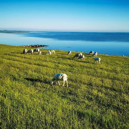 Apartamento In Lemkenhafen For 2 Personen Lemkenhafen auf Fehmarn